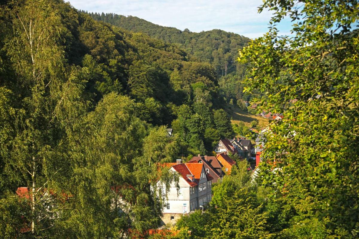 Fewo-Lerbachtal Osterode am Harz Екстер'єр фото
