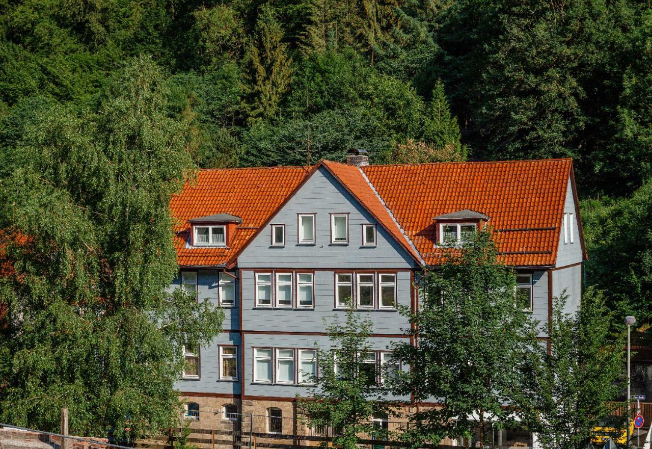Fewo-Lerbachtal Osterode am Harz Екстер'єр фото
