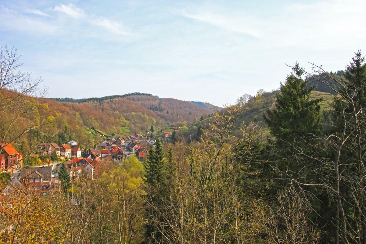 Fewo-Lerbachtal Osterode am Harz Екстер'єр фото