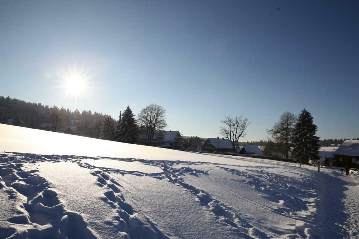 Fewo-Lerbachtal Osterode am Harz Екстер'єр фото